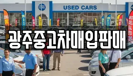 광주광역시 남구 봉선동 중고차매매 전문 광주중고차매입판매
