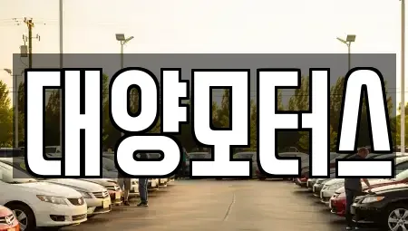 광주광역시 남구 양촌동 중고차매매 전문 대양모터스