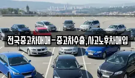 광주광역시 서구 내방동 중고차 전문 전국중고차매매-중고차수출,사고노후차매입