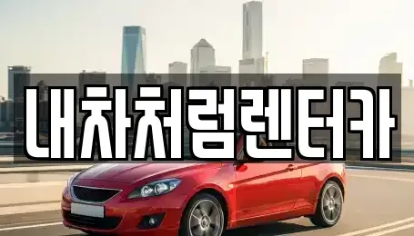 대구 동구 매여동 렌트카 전문 내차처럼렌터카