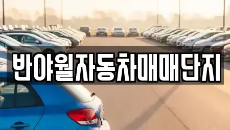 대구 동구 율암동 중고차매매 전문 반야월자동차매매단지