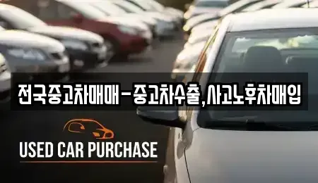 대구 동구 율암동 중고차매입 전문 전국중고차매매-중고차수출,사고노후차매입