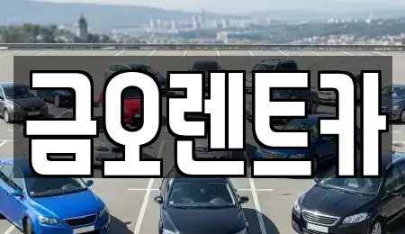 대구 북구 고성동3가 단기렌트카 전문 금오렌트카