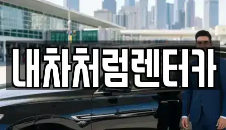 대구 중구 남산동 렌트카 전문 내차처럼렌터카