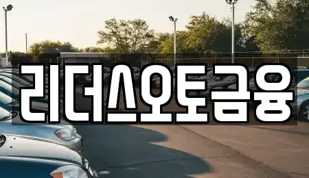 대구 중구 남산동 장기렌트카 전문 리더스오토금융