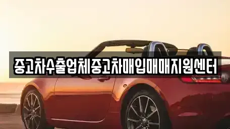 대구 중구 남산동 중고차매입 전문 중고차수출업체중고차매입매매지원센터
