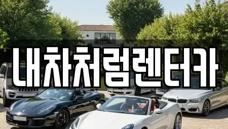 대구 중구 동인동1가 렌트카 전문 내차처럼렌터카