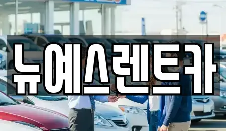 대구 중구 동인동1가 렌트카 전문 뉴예스렌트카