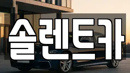 대구 중구 동인동1가 장기렌트카 전문 솔렌트카
