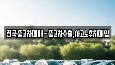 대구 중구 동인동1가 중고차,렌트카,중고차매입,중고차매매,장기렌트카,단기렌트카