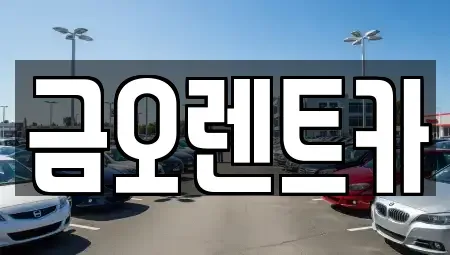대구 중구 서성로1가 렌트카 전문 금오렌트카