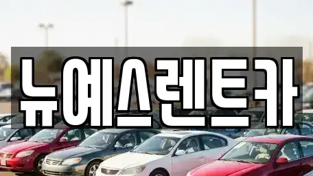 대구 중구 서성로1가 렌트카 전문 뉴예스렌트카