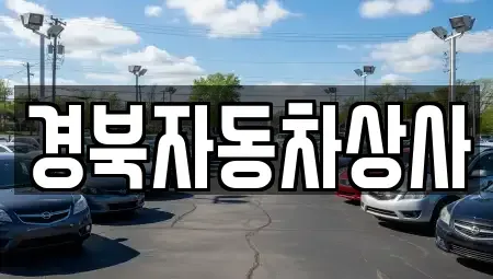 대구광역시 동구 용수동 장기렌트카,중고차,렌트카,단기렌트카,중고차매입,중고차매매