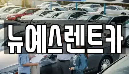 대구광역시 수성구 가천동 렌트카 전문 뉴예스렌트카