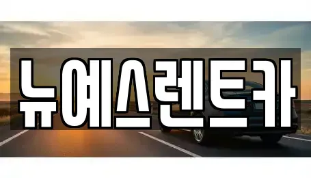 대구광역시 수성구 가천동 렌트카 전문 뉴예스렌트카