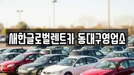 대구광역시 수성구 가천동 렌트카 전문 새한글로벌렌트카 동대구영업소