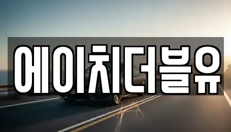대구광역시 수성구 가천동 장기렌트카 전문 에이치더블유