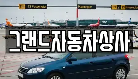 대구광역시 수성구 가천동 중고차 전문 그랜드자동차상사