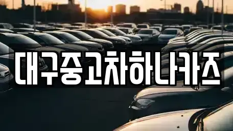 대구광역시 수성구 가천동 중고차 전문 대구중고차하나카즈