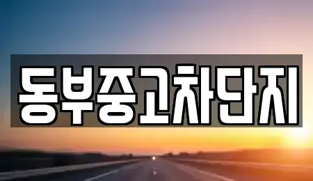 대구광역시 수성구 가천동 중고차 전문 동부중고차단지
