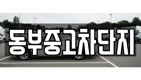 대구광역시 수성구 가천동 중고차매매 전문 동부중고차단지