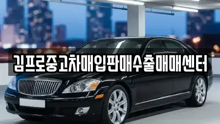 대구광역시 수성구 가천동 중고차매입 전문 김프로중고차매입판매수출매매센터