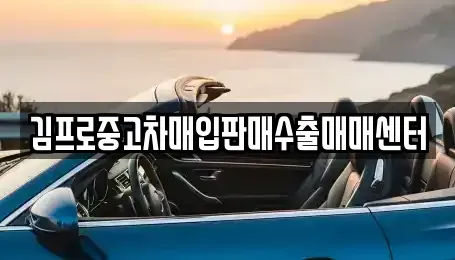 대구광역시 수성구 가천동 중고차매입 전문 김프로중고차매입판매수출매매센터