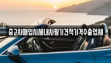 대구광역시 수성구 가천동 중고차매입 전문 중고차매입시세내차팔기견적가격수출업체