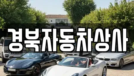 대구광역시 수성구 수성동2가 중고차 전문 경북자동차상사