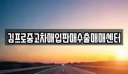 대구광역시 수성구 수성동2가 중고차 전문 김프로중고차매입판매수출매매센터