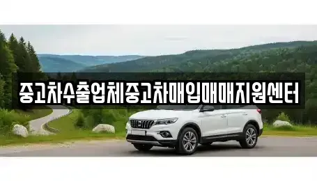 대구광역시 수성구 수성동2가 중고차매입 전문 중고차수출업체중고차매입매매지원센터