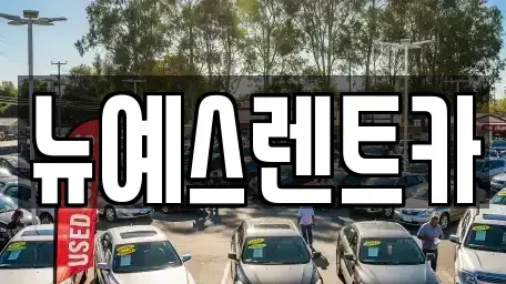대구광역시 중구 대안동 렌트카 전문 뉴예스렌트카
