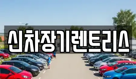 대구광역시 중구 대안동 렌트카 전문 신차장기렌트리스