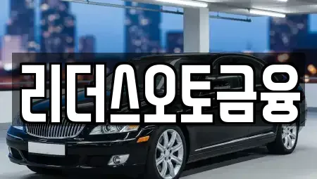 대구광역시 중구 대안동 장기렌트카 전문 리더스오토금융