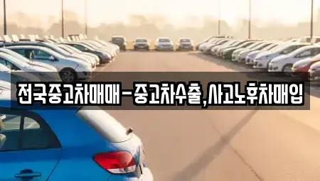 대구광역시 중구 대안동 중고차매입 전문 전국중고차매매-중고차수출,사고노후차매입