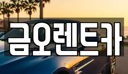 대구광역시 중구 태평로3가 렌트카 전문 금오렌트카