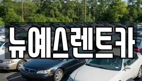 대구광역시 중구 태평로3가 렌트카 전문 뉴예스렌트카