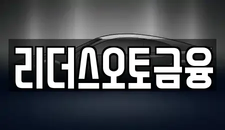대구광역시 중구 태평로3가 렌트카 전문 리더스오토금융
