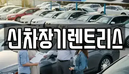 대구광역시 중구 태평로3가 렌트카 전문 신차장기렌트리스