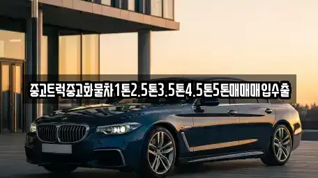 대전 대덕구 신일동 중고차 전문 중고트럭중고화물차1톤2.5톤3.5톤4.5톤5톤매매매입수출