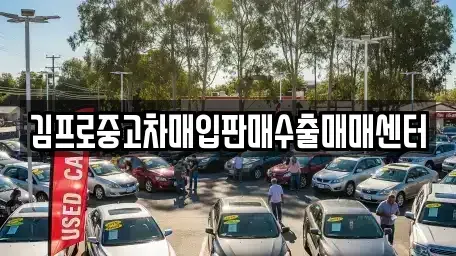 대전 대덕구 신일동 중고차매입 전문 김프로중고차매입판매수출매매센터