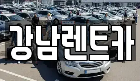 대전 대덕구 와동 렌트카 전문 강남렌트카