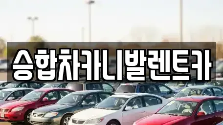대전 대덕구 와동 렌트카 전문 승합차카니발렌트카