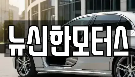 대전 대덕구 황호동 중고차 전문 뉴신한모터스