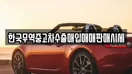 대전 대덕구 황호동 중고차 전문 한국무역중고차수출매입매매판매시세