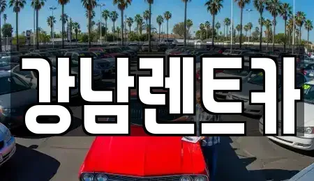 대전 동구 신상동 렌트카 전문 강남렌트카