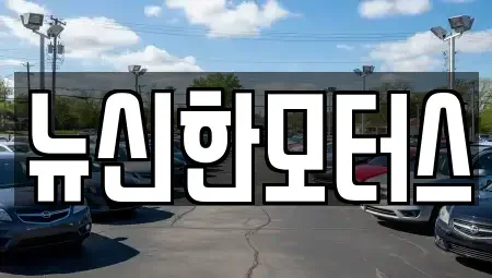 대전 서구 산직동 중고차 전문 뉴신한모터스