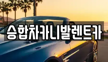 대전 유성구 장동 렌트카 전문 승합차카니발렌트카