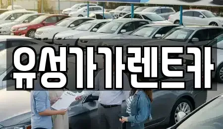 대전 유성구 장동 렌트카 전문 유성가가렌트카