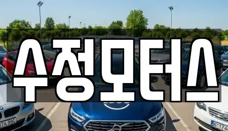 대전 유성구 장동 중고차 전문 수정모터스